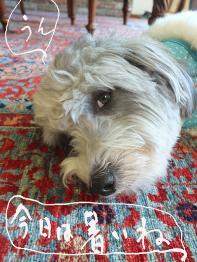 2025-08-06-charlie2