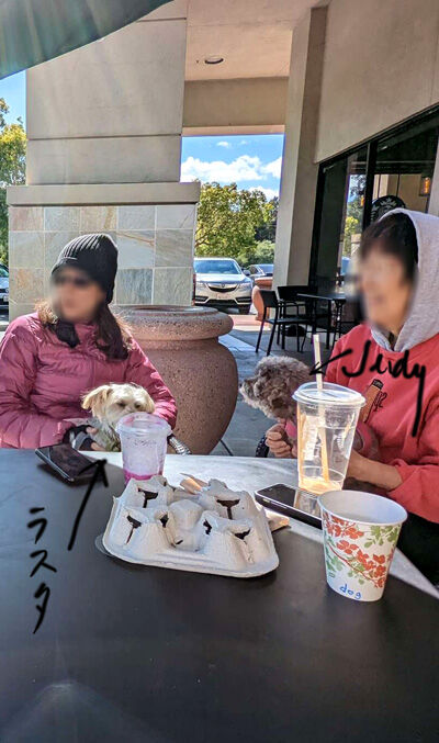 2022-05-21-dog