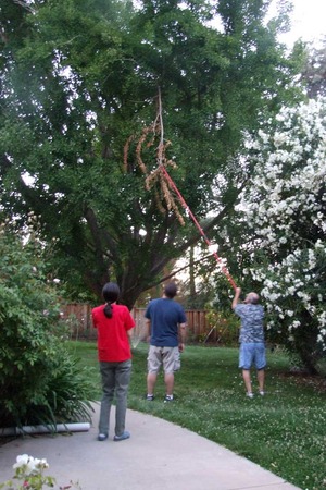 2014-07-01-branch
