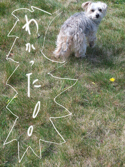 2021-03-12-rasta4