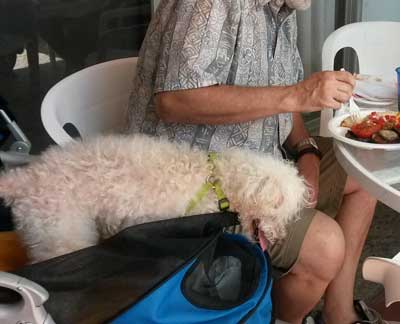 2015-05-28-bbq9