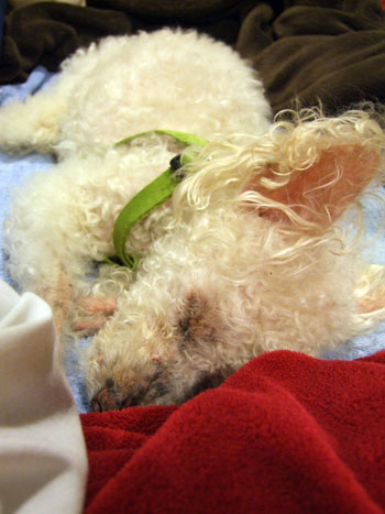 2015-03-29-sleep