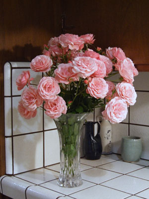 2012_06_05-kitchen
