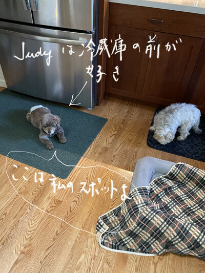 2022-06-09-judy1