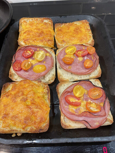 2023-06-08-hamcheese4.