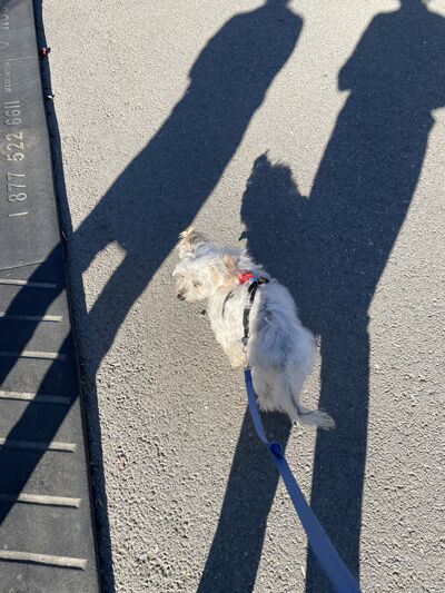 2022-04-01-walk2