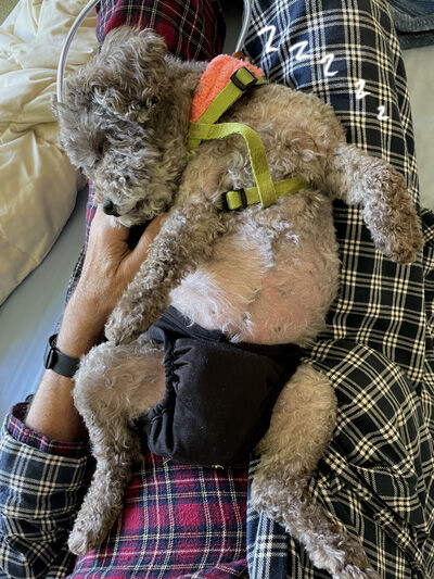 2022-04-27-judy4