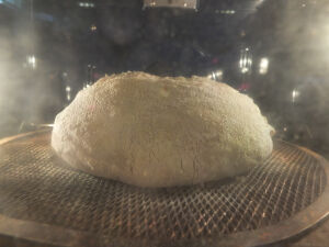 2026-04-13-sourbread7