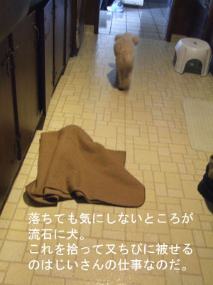 2013-01-05-chibiwalking2