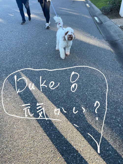 2026-01-24-duke2
