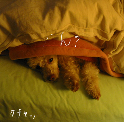 2020-03-08-chibi1
