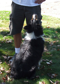 2011_09_09_katy1