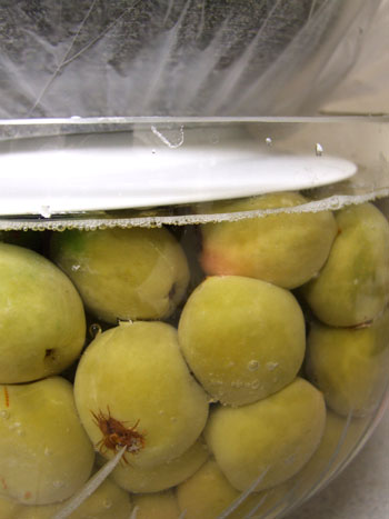 2013-05-19-umeboshi1