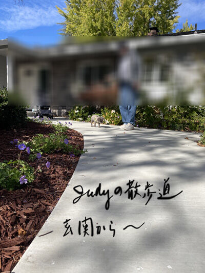 2022-10-30-judy1