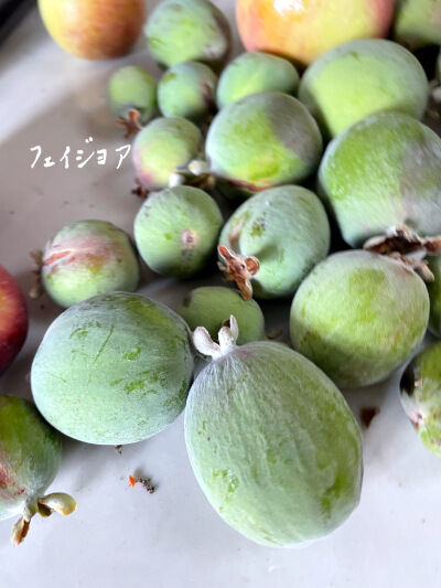 2024-10-18-pineappleguava1