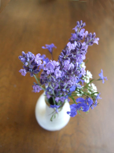 2010_06_18_english_lavender