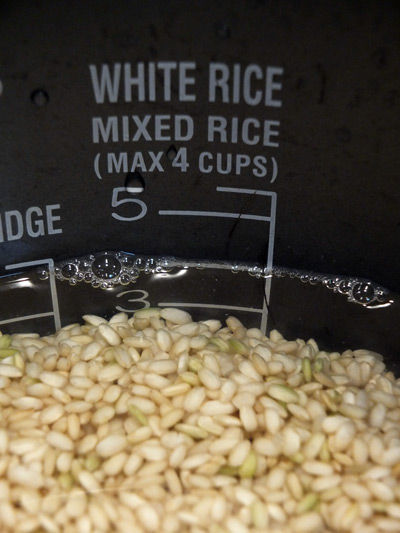 2019-06-19-brownrice4