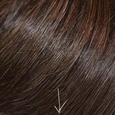 2023-02-11-wig2