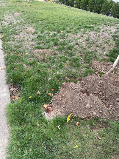 2024-01-13-gopher7
