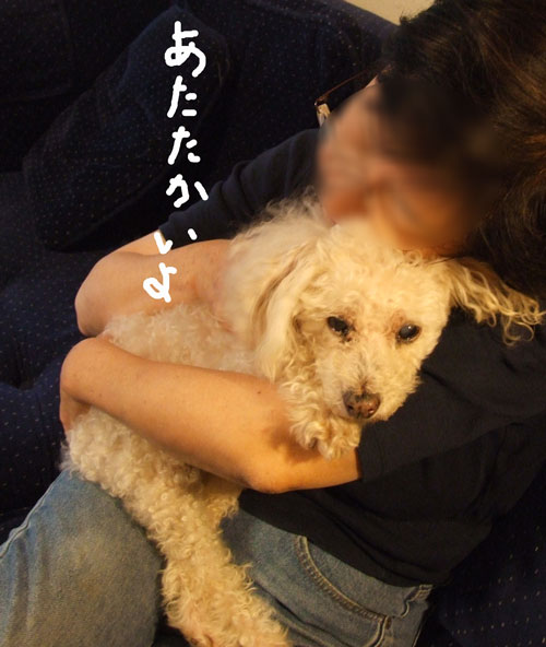 2018-02-24-chibi2