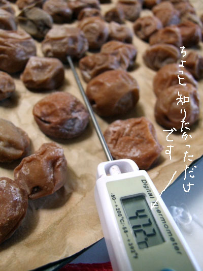 2016-07-29-ume1