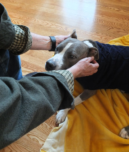 2017-12-29-shelby6