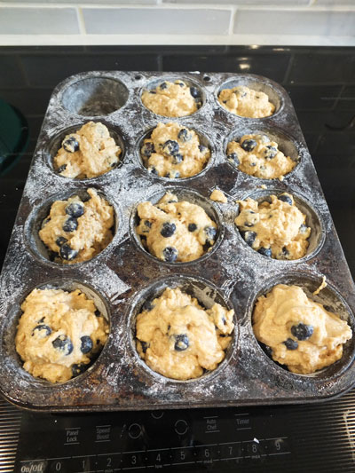 2020-01-16-blueberry3