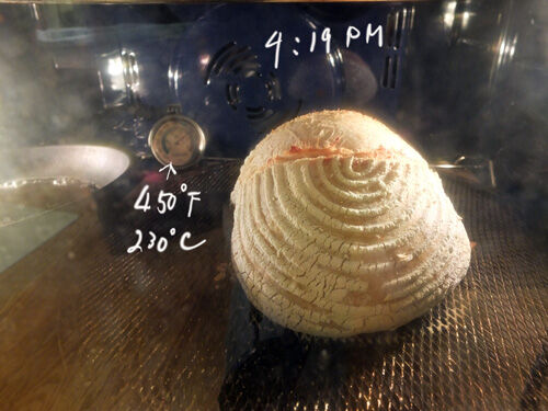 2020-10-24-sourdough4