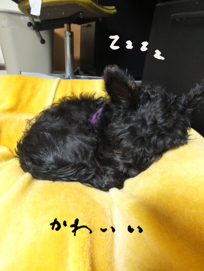 2025-03-16-kiki1