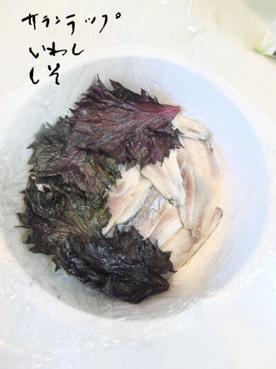 2026-08-31-sardine1