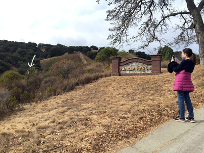 2020-11-07-walk2