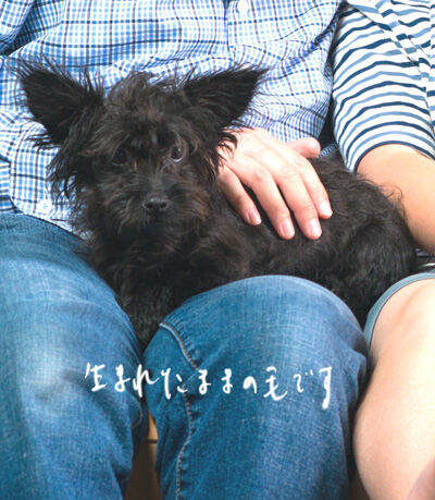 2024-03-04-kiki4