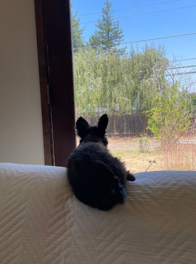 2024-12-30-kiki1
