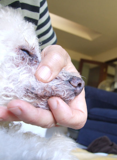 2015-11-12-chibiwash2