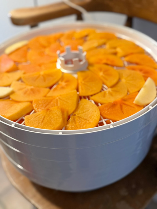 2025-12-03-hoshigaki9