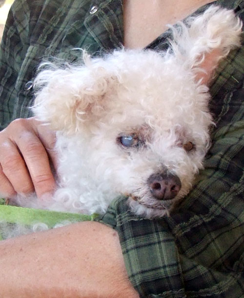 2017-01-18-chibimom3