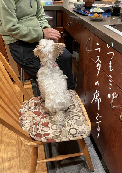 2021-11-06-dinner6