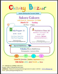 2013-02-19-flyer