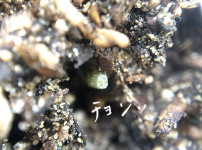 2023-03-06-lupin3