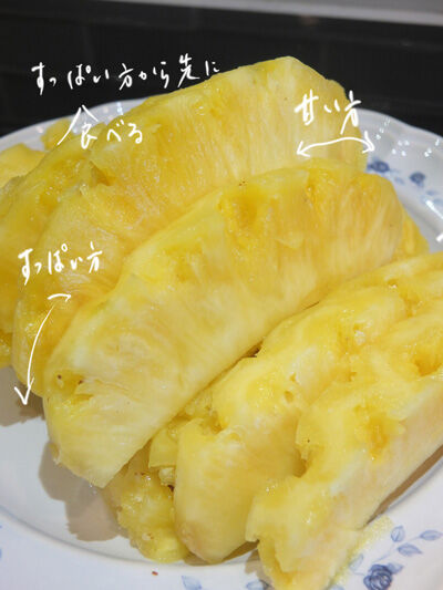 2023-03-18-pineapple1