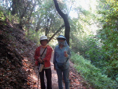 2013-07-02-2