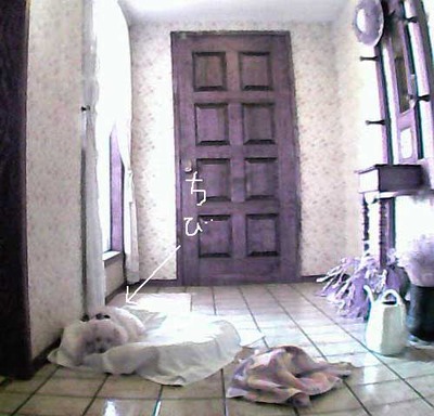 2014-07-13-chibisleeping
