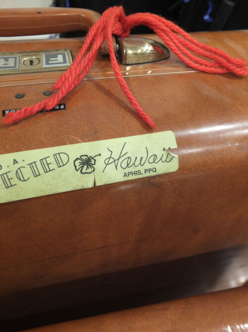 2026-01-10-suitcase3