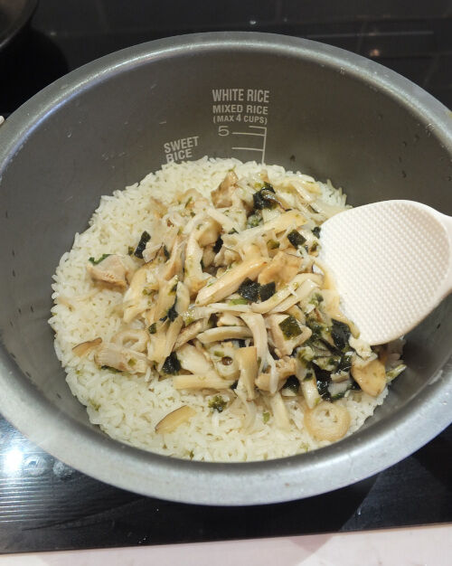 2025-10-25-matsutake7