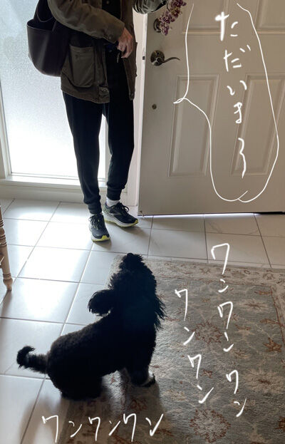 2022-02-11-oreo1