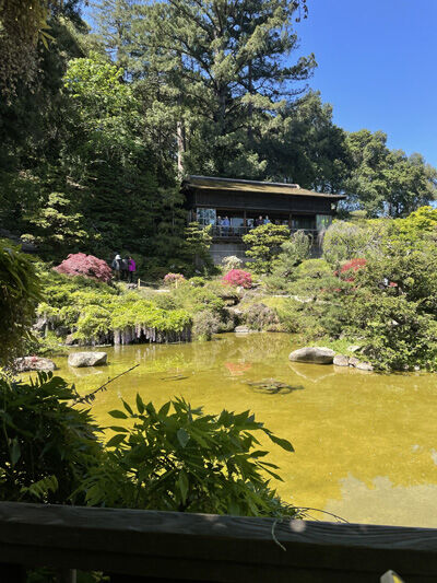 2024-05-06-hakone1