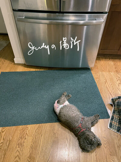 2022-06-09-judy2