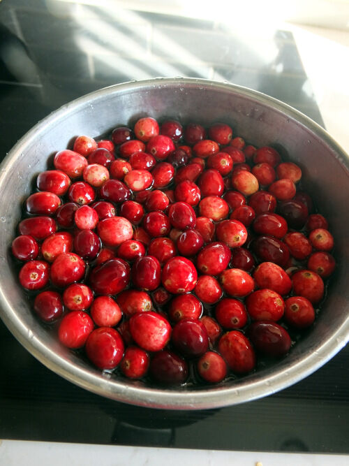 2025-11-24-cranberry1