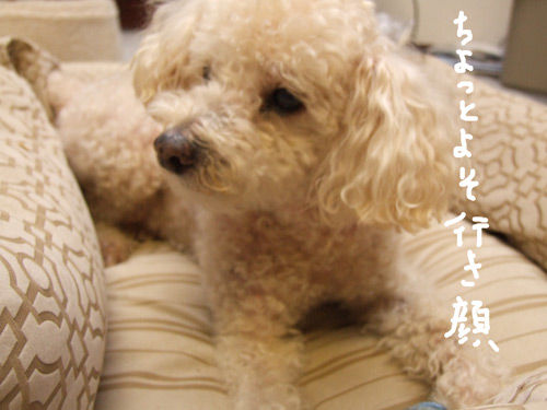 2019-09-26-chibi2