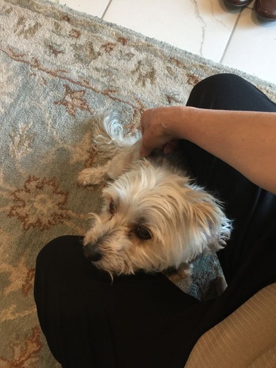 4E168220-8E3A-4BF0-AD90-4540F104E60C